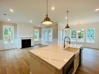 3680 Goodwater St, Mount Pleasant, SC 29466 - photo 6