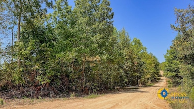 0 Hurricane Creek Rd, Stewart, TN 37175 - photo 3