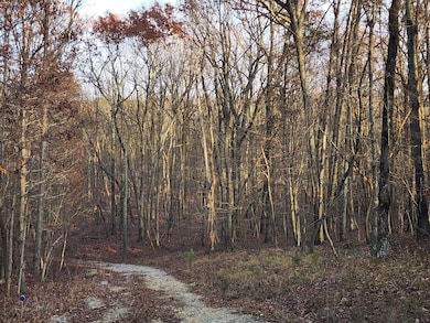 21766 Highway 157, Menlo, GA 30731 - photo 6