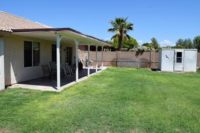 backyard3