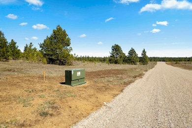 TBD N Sherman Rd unit LOT 19, Deer Park, WA 99006 - photo 4