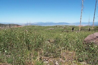 Sorlie properties 002