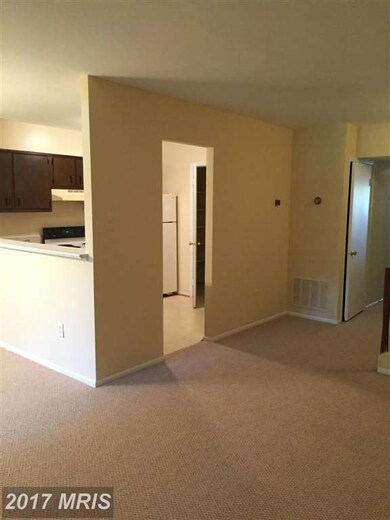 3809 El Camino Place, Alexandria, VA 22309 - photo 3