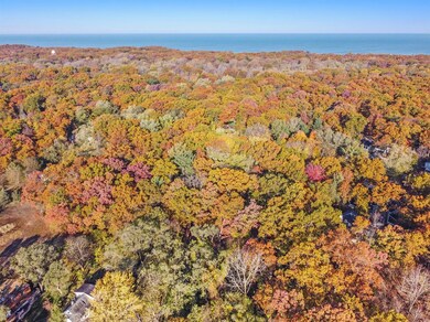 424 Dreamwold Way, Michiana Shores, IN 46360 - photo 7