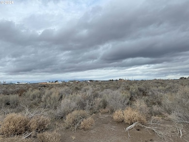 0 E Thorn Ln unit 2300, Christmasvalley, OR 97641 - photo 7