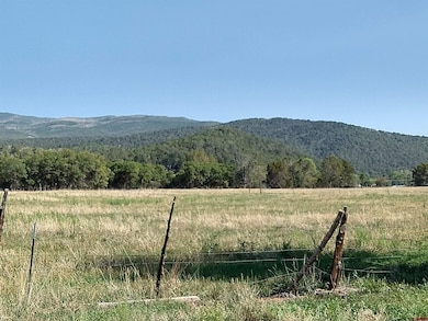 20122 2375 Rd, Cedaredge, CO 81413 - photo 5