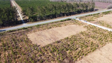 2 S Carolina 6, Cross, SC 29436 - photo 6