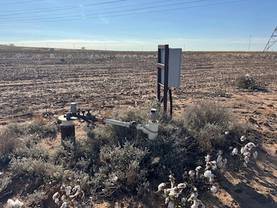 000 Ennis Creek Rd, Snyder, TX 79549 - photo 3