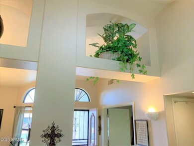 Plant Shleves