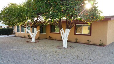 10237 N 103RD AVE Sun City AZ 85351 (2)