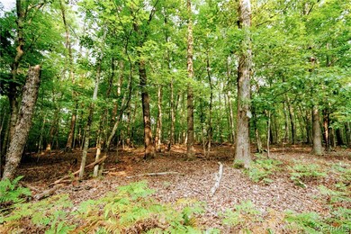 0 Stubbs Bridge Rd unit 2125675, Mineral, VA 23117 - photo 3