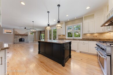 501 S Sunnyside Ave, Elmhurst, IL 60126 - photo 5