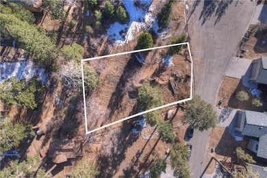 859 Pine Meadow Ct, Big Bear Lake, CA 92315 - photo 2