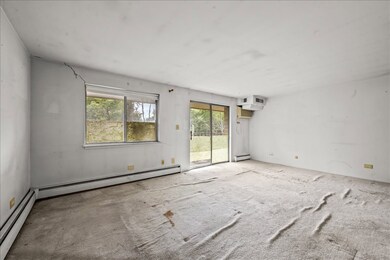 1206 E Fairview St unit 305, Arlington Heights, IL 60005 - photo 4