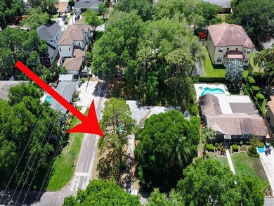 4002 W San Luis St, Tampa, FL 33629 - photo 3