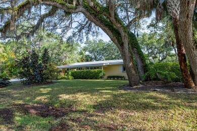 Side Yard with Live Oaks