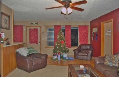 The living room has nice newer carpet and a decora