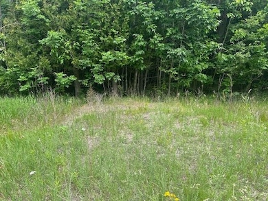 TBD Elder Rd, Carp Lake, MI 49718 - photo 4