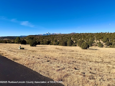 118 Rainmaker Dr, Alto, NM 88312 - photo 3