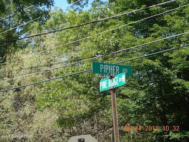 1332 Pine Ridge, Pine Ridge, PA 18324 - photo 6