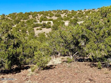 TBD Co Rd 5062 Lot 1 3 53 Acres --, Concho, AZ 85924 - photo 3
