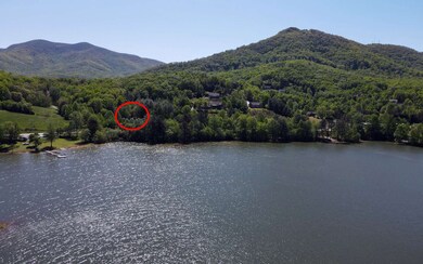 Additional View