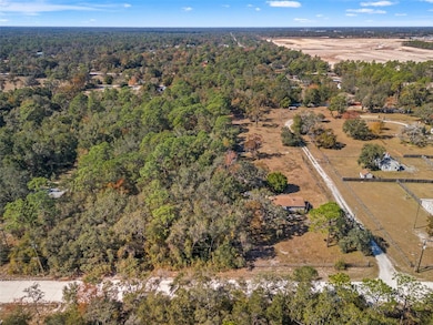 18409 Rigsby Rd, Spring Hill, FL 34610 - photo 7