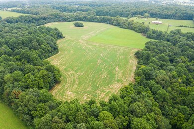 7336 Highway 76 E, Springfield, TN 37172 - photo 4