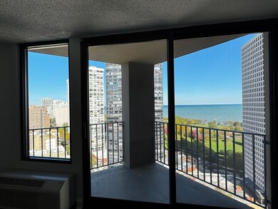 5320 N Sheridan Rd unit 2109, Chicago, IL 60640 - photo 7