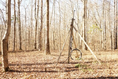 0 Meadow Dr, Linden, TN 37096 - photo 4