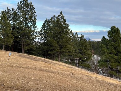 Lot 19 Summit Pass unit Dakota Highland Esta, Whitewood, SD 57793 - photo 3