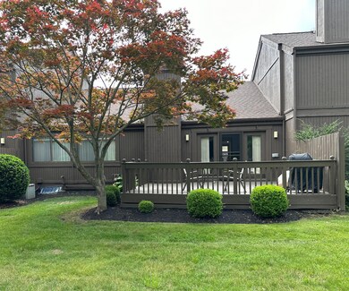 Back Deck