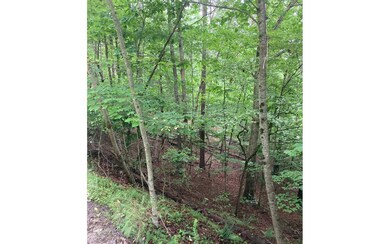 Additional View
