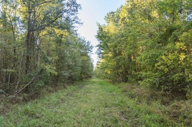 0 S Brewington Rd, Manning, SC 29102 - photo 2