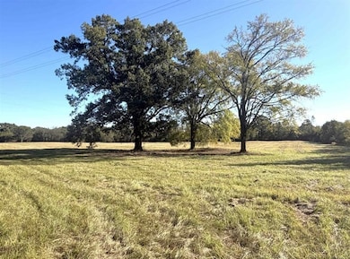 Tbd County Road 4316, de Kalb, TX 75559 - photo 5