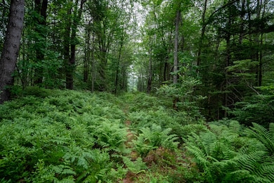 0 Wildes District Rd, Kennebunkport, ME 04046 - photo 5