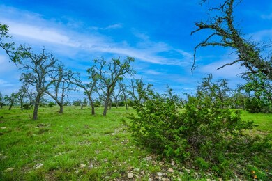 6000 N Us Highway 87, Fredericksburg, TX 78624 - photo 5