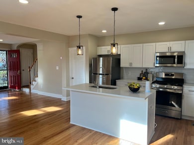 301 Mount Holly St, Baltimore, MD 21229 - photo 6