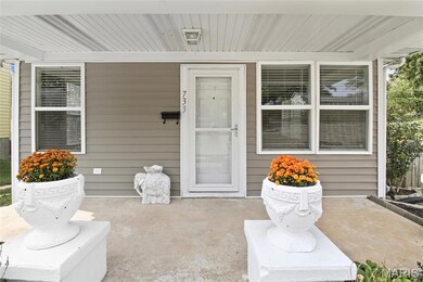 733 Warne St, Festus, MO 63028 - photo 5