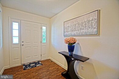 302 Frederick St, Milton, DE 19968 - photo 4