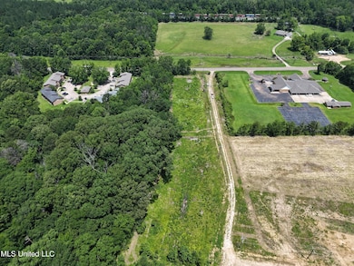 dji_fly_20240814_185628_0089_17496615651