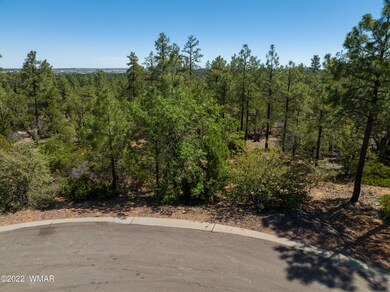 1680 S Twin Peak Trail, Show Low, AZ 85901 - photo 6