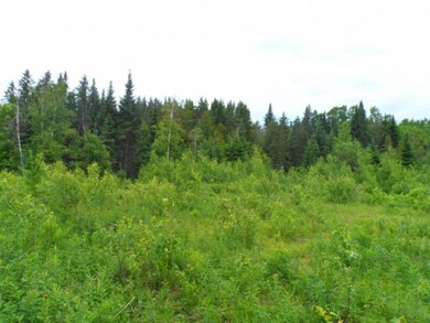 20 Gray Rd, Colebrook, NH 03576 - photo 4