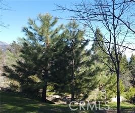 42 Park Dr, Running Springs Area, CA 92382 - photo 6