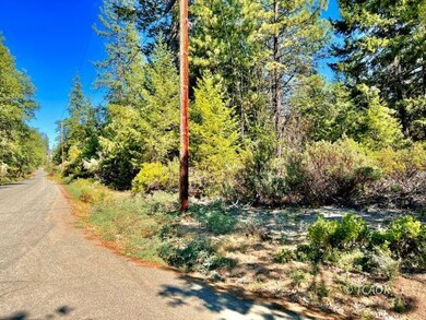 291 Oliva Dr, Hayfork, CA 96041 - photo 4