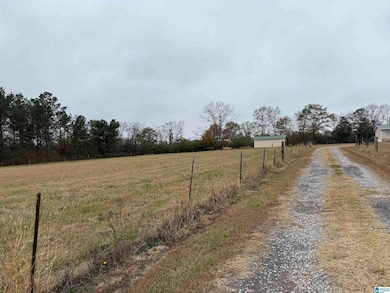 325 Washington Ave, Wellington, AL 36279 - photo 5