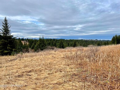 Gentle slope with tremendous view