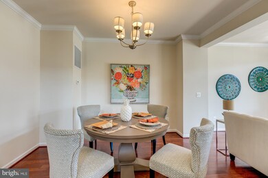 43344 Polenta Terrace, Chantilly, VA 20152 - photo 5