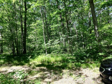 9030 12th Ave, Bitely, MI 49309 - photo 6