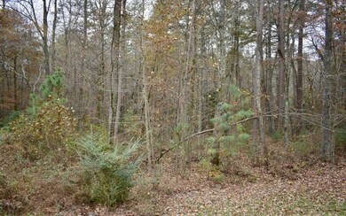 Additional View